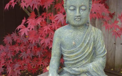 Would the Buddha Eat An Ice Cream Cone?