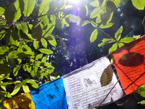 Close prayer flags