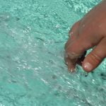 Touching water