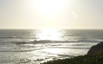 Awakening of Gratitude