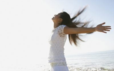 Love the Wind!
