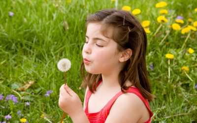 The Power of Dandelions
