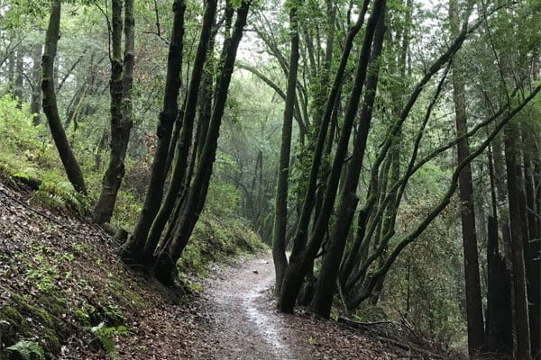 Hiking in the rain