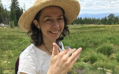 5 Things the Butterfly Taught Me
