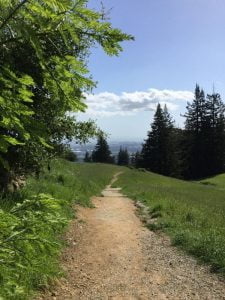 Mount Madonna outside path down mountainside