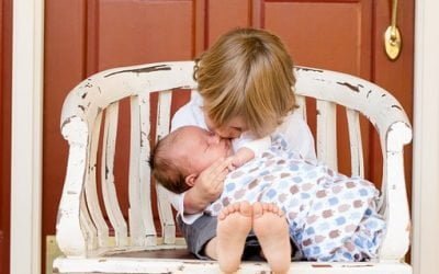 Seeing Kindness, Being Kindness