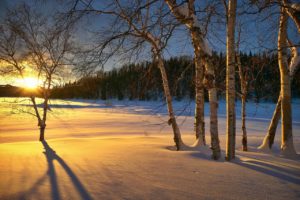 sun on a winter scene