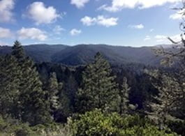 Santa Cruz Mountains