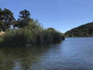 view across lake to hills