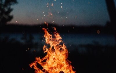 Fire by Friction: the Legacy of 2020