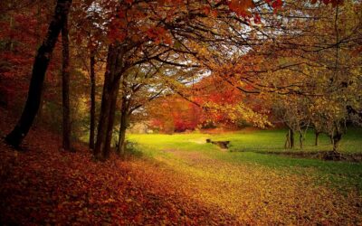 Autumn – A Time of Reflection