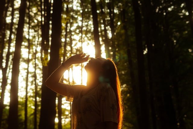 Female forground with light through trees creating her shape in silhouette