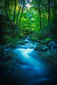 living in the flow of a stream