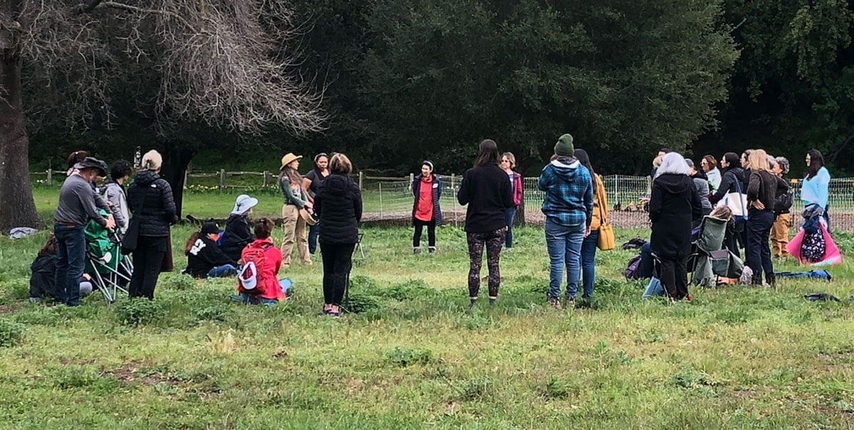 Ecotherapy group forming a circle in a meadow