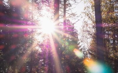 Spiritual Health is Mental Health