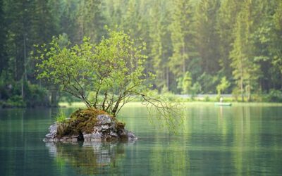 Be Like Still Water