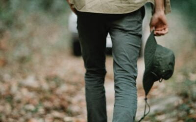Transitions – The Essence of the Autumn Shift