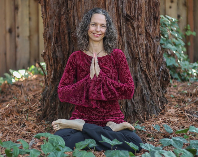 connie habash yoga lotus pose with redwood tree behind