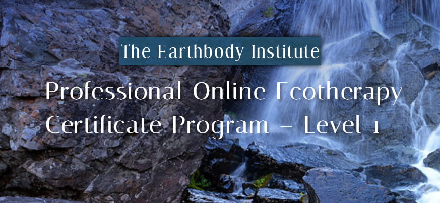 Professional Online Ecotherap yCertificate Program Level 1 Banner Image