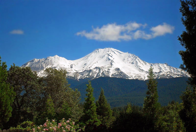 Mt Shasta's snowy peak in the distance