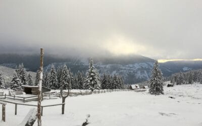 Winter Clouds, Winter Clarity, Winter Healing