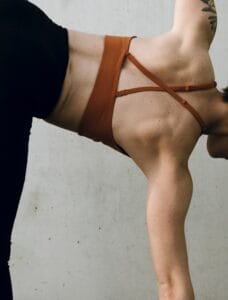 Closeup of Half Moon Yoga Pose, Ardha Chandrasana