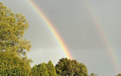 Rainbows Only Come with Rain